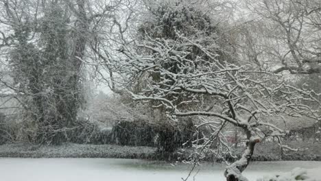 Lots-of-snow-fall-on-trees-and-garden-Wide-Shot