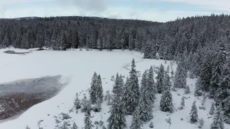 Frozen-lake-in-winter,-woods-covered-in-fresch-snow,-aerial-view,-Crno-jezero,-Black-lake,-Pohorje,-Slovenia