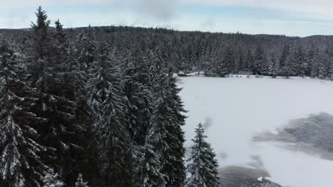 Lago-Congelado-En-Invierno,-Bosques-Cubiertos-De-Nieve-Fresca,-Vista-Aérea,-Crno-Jezero,-Lago-Negro,-Pohorje,-Eslovenia