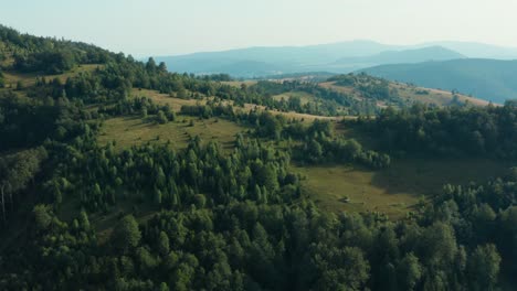 Hermosa-Montaña-Radocelo-Con-Abeto-Serbio-En-Bosque-Verde-Durante-La-Primavera-En-Serbia,-Europa