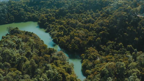 Cinematic-shot-of-a-tropical-forest-with-a-river-in-the-middle