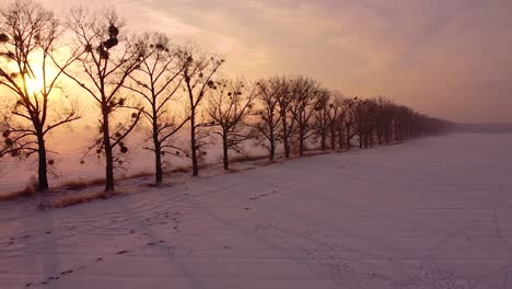 Flying-backward-over-snow-covered-field-and-drawing-away-from-seemingly-infinite-line-of-trees-backlit-by-stunning-rising-sun
