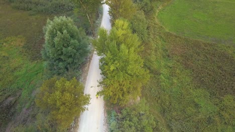 Unknown-Person-Jogging-on-Dirt-Road-Between-Trees---Aerial-Top-Down-View