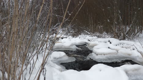 Close-view-of-water-flowing-through-snowy-creek-in-bushy-landscape