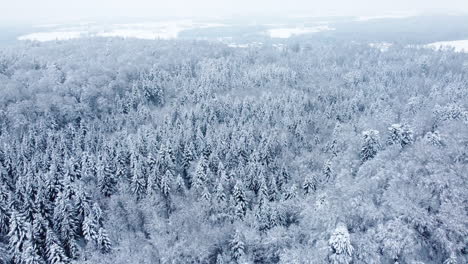 Beautiful-white-forest-winter-wonderland-in-Switzerland---aerial-reverse