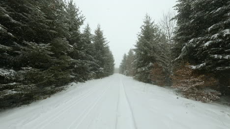 Camino-Cubierto-De-Nieve-A-Través-Del-Bosque-En-Bois-Du-Jurat-Durante-Las-Nevadas-En-Invierno-Cerca-De-La-Ciudad-De-Lausana,-Vaud,-Suiza