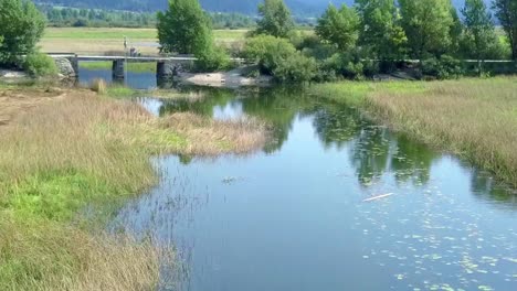 Luftaufnahme-Entlang-Des-Flusses-Mit-Grassumpf-In-Slowenien