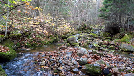 River-in-a-mountain-in-autumn