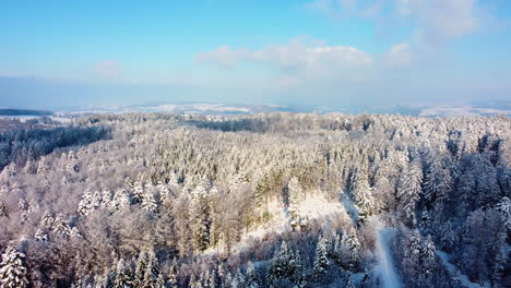 Aerial-View-Of-Vast-Forest-With-Dense-Trees-During-Winter,-Bois-du-Jorat---Canton-de-Vaud,-Switzerland