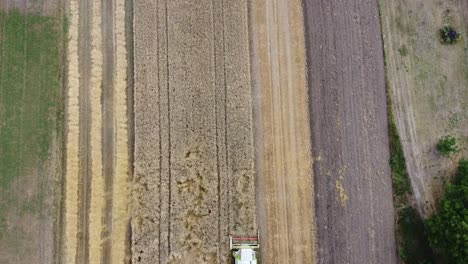 Drone-flight-over-harvester-that-is-harvesting-grain