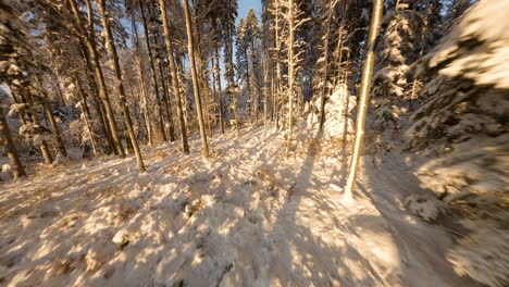 Beautiful-Snowy-Forest-With-Sunset-Light-And-Snow-In-the-Jorat-Woods,-Canton-Of-Vaud,-Switzerland---aerial-remote-person-view