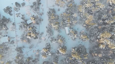 Aerial-overhead-view-of-a-Norwegian-village-in-the-forest-covered-with-snow