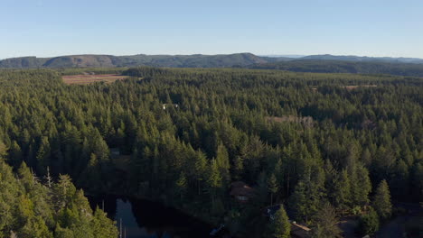Dense-Coniferous-Treetops-With-Structures-And-Mountains-In-Background-During-Sunny-Day-At-Fahys-Lake-In-Bandon,-Oregon