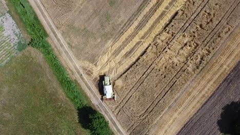 Drone-flight-over-harvester-that-is-harvesting-grain