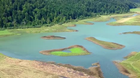 Drone-flight-above-the-lake-in-the-summer-with-a-lot-of-water-plant-at-Lake-Cerknica,-river-Rak