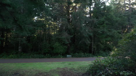 Schild-Mit-Kette,-Die-Zwischen-Zwei-Bäumen-Nahe-Der-Straße-In-Oregon-Forest,-Usa,-Hängt---Spurverfolgung-Nach-Vorn