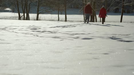 Pareja-Caminando-Tranquilamente-En-Un-Campo-De-Nieve-Con-árboles-Y-Suelo-Brillante