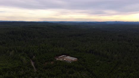 An-Industrial-Building-In-The-Middle-Of-The-Forest---aerial-pullback