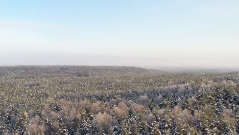 AERIAL:-Flying-Backwards-Over-Frozen-and-Snowy-Forest-on-a-Beautiful-Cold-Winter-Day