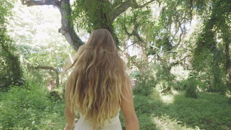 Woman-walk-through-harmonious-rainforest-quietly-basked-in-sunshine