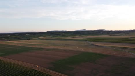 Langsamer-Drohnenflug-über-Einige-Felder-Am-Abend