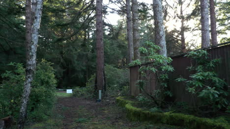 Sonnenstrahlen,-Die-Auf-Waldweg-In-Oregon-Herabscheinen,-Mit-Kette-Zwischen-Bäumen,-Die-Abfangen