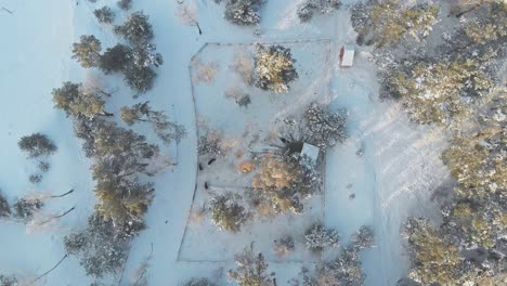 Aerial-overhead-view-of-a-snowed-livestock-farm-in-a-forest-of-Norway