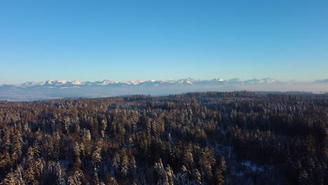 Fliegen-über-Die-Spitzen-Von-Nadelbäumen-Vor-Dem-Hintergrund-Schneebedeckter-Bergrücken-Während-Des-Sonnenuntergangs-In-Jorat,-Schweiz