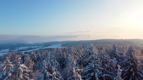 Paisaje-Forestal-Invernal-Con-árboles-Caducos-Cubiertos-De-Nieve-Fresca-En-Los-Bosques-De-Jorat,-Cantón-De-Vaud,-Suiza---Toma-Aérea-De-Drones