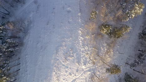 AERIAL:-Top-View-Shot-of-Flying-Above-Power-Electricity-Cable-Lines-in-Forest-on-Winter-Day