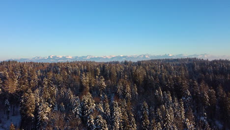 Luftflug-über-Verschneiten-Waldhintergrund-Mit-Den-Alpen-Vor-Blauem-Himmel-Bei-Sonnenuntergang-über-Dem-Bois-Du-Jorat,-Waadt,-Schweiz---Drohnenaufnahme