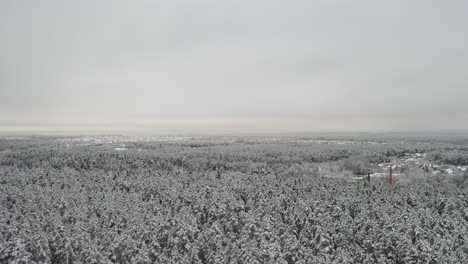 Antenne:-Rotierende-Aufnahme-Von-Wald-Und-Stadt-Im-Hintergrund-An-Einem-Wintertag