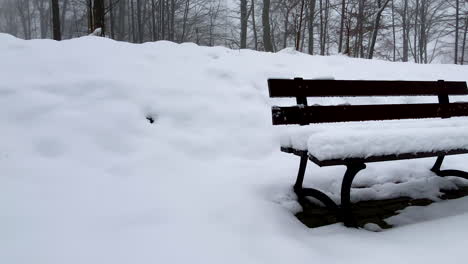 Wooden-Park-Bench-With-Snow-During-Winter-Season