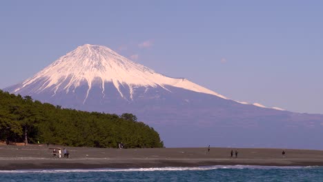 Long-view-of-people-walking-on-Beach-with-pine-Trees-and-Mt-Fuji-in-Japan