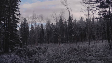 Stimmungsvoller-Wald-Mit-Bäumen-In-Schwarz-Und-Weiß-Gegen-Bewölkten-Himmel