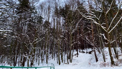 Blattlose-Bäume-Im-Waldvordergrund,-Die-Im-Winter-Von-Schnee-Bedeckt-Sind---Mittlere-Aufnahme