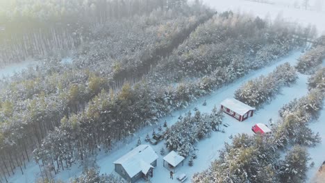 Aerial-view-of-a-cottage-in-a-Norwegian-snowed-forest