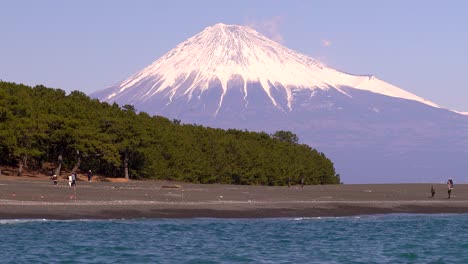 Famous-and-iconic-view-of-snow-capped-Mt-Fuji-with-forest-and-ocean-on-clear-day