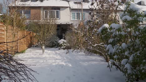 Toma-De-Movimiento-De-Nieve-En-Un-Jardín