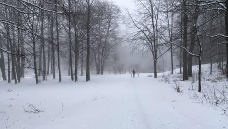 Person-walking-and-running-true-the-white-snow-in-a-forest-in-Górowo-Iławeckie