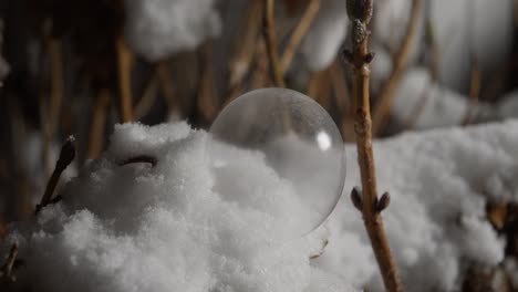 Motion-controlled-time-lapse-sequence-of-freezing-bubbles
