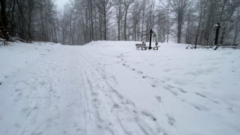 Schneelandschaft-Winter-Im-Stadtpark-Mit-Dicht-Kahlen-Bäumen-Gegen-Bewölkten-Himmel