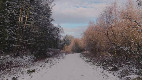 Snowy-Country-Road-Between-Golden-Bare-Trees-Against-Cloudy-Sky-During-Winter
