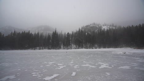 Kalter-Winter,-Zugefrorener-See,-Windiger-Schneesturm-Und-Nadelbäume