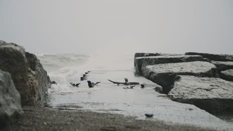 Wellen,-Die-Während-Stürmischer-Tage-über-Wellenbrecherfelsen-Und-Deich-Am-Strand-Krachen