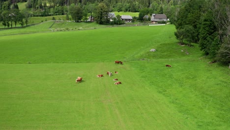 Aerial-view-of-alpine-pasture,-farm-in-the-background,-Jezersko,-SLovenia