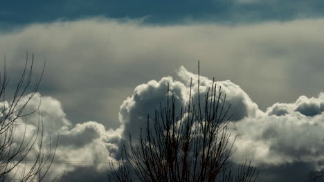 Huge-cumulus-clouds-billowing-and-blowing-just-above-the-trees---time-lapse