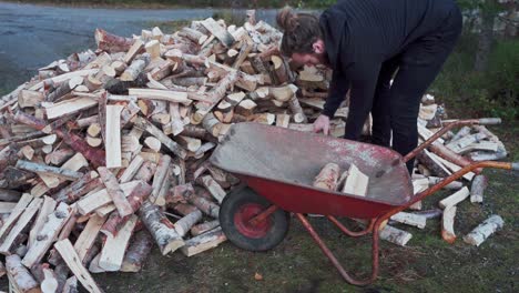 Man-Loading-The-Red-Wheelbarrow-With-Chopped-Woods