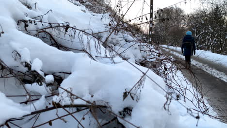 Zweige-Mit-Weißem-Schnee-Bedeckt,-Während-Eine-Frau-In-Zeitlupe-Auf-Einer-Geräumten-Straße-Im-Hintergrund-In-Gdynia-Läuft