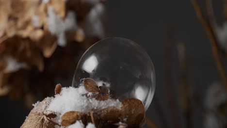 Motion-controlled-time-lapse-sequence-of-freezing-bubbles